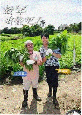 麻花影视美食综艺周末厨房实验室海报